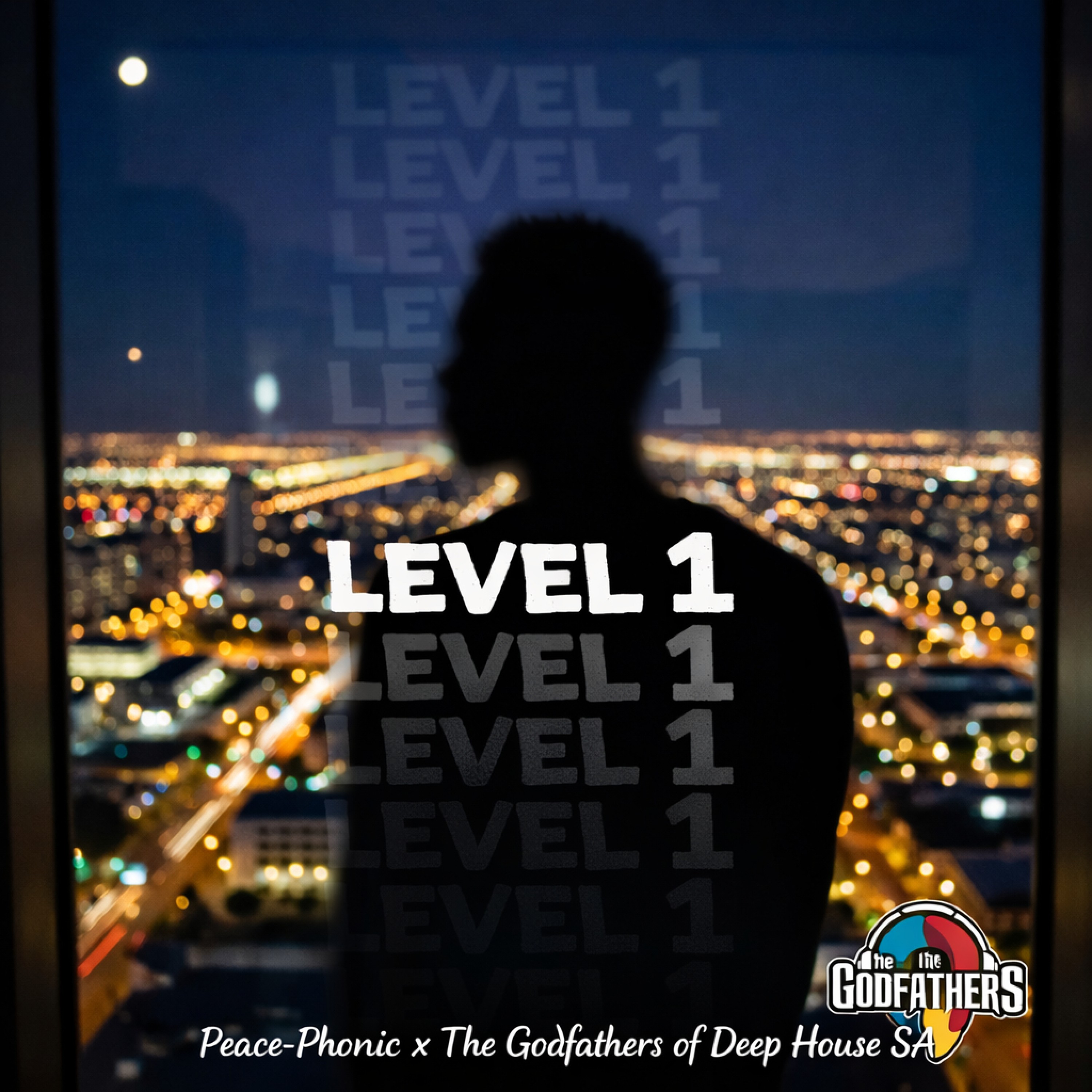 Level 1 cover art